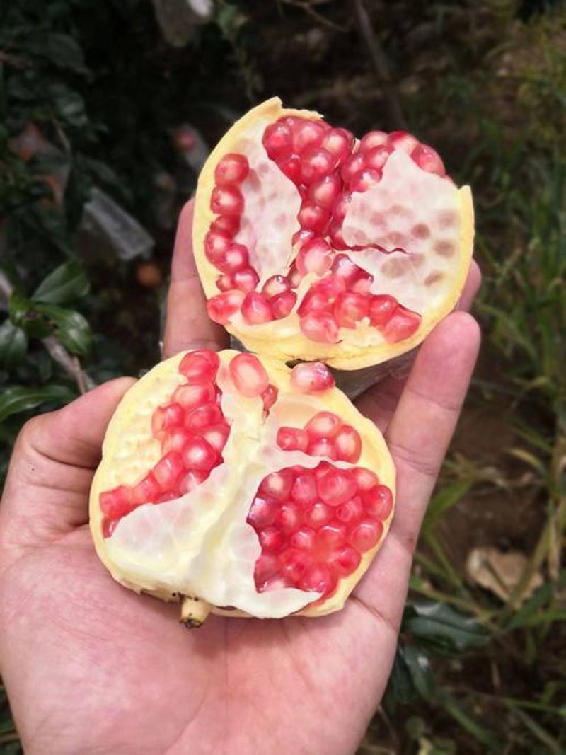 蒙自商贸公司的商业活力与前景探索